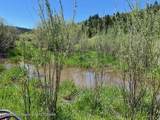 5000 Spring Creek Road - Photo 7