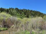 5000 Spring Creek Road - Photo 9