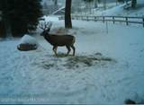LOT 2 Stewart Trl Road - Photo 19