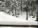 LOT 2 Stewart Trl Road - Photo 21