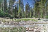 LOT 2 Stewart Trl Road - Photo 4