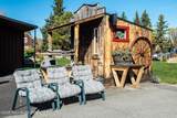 117 Pine Street - Photo 12
