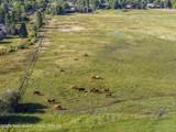 120 Acres South Park Loop Road - Photo 14