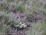TBD Yellowstone Basin Drive - Photo 15