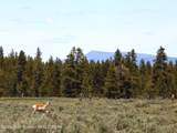 TBD Yellowstone Basin Drive - Photo 6