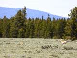 TBD Yellowstone Basin Drive - Photo 7