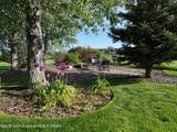 876 Wild Cat Canyon Loop - Photo 4
