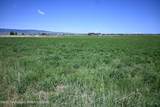 4032 Los Pinos Drive - Photo 5