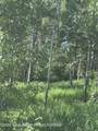 L22 Caribou Forest Drive - Photo 3