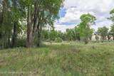  Chapel Canyon - Photo 15