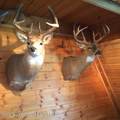 338 Gas Hills Road - Photo 14
