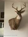 338 Gas Hills Road - Photo 15