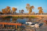 338 Gas Hills Road - Photo 4