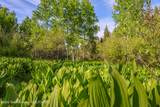 10 Leigh Canyon Road - Photo 11