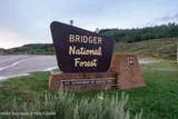 15 Rainbow Drive - Photo 40