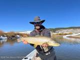 15 Rainbow Drive - Photo 43