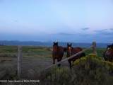3691 Sage Grouse Road - Photo 20