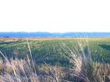 3691 Sage Grouse Road - Photo 22