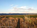 3691 Sage Grouse Road - Photo 24