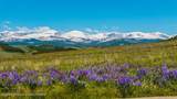  Big Horn Inholding - Photo 1