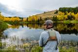  Big Horn Inholding - Photo 7