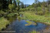 5075 Rainbow Trout Lane - Photo 4
