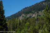 5075 Rainbow Trout Lane - Photo 7