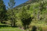 5075 Rainbow Trout Lane - Photo 8