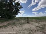 127 Eden East 1St North Road - Photo 8