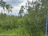 LOT 61 Pine Drive - Photo 2