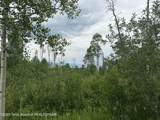 LOT 61 Pine Drive - Photo 4