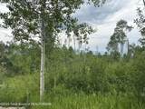 LOT 61 Pine Drive - Photo 5