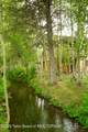 3885 Lake Creek Drive - Photo 18