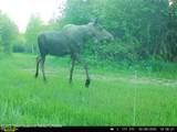 785 Highway 33 - Photo 44