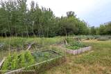 785 Highway 33 - Photo 55