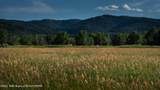 9460 Timberline Loop - Photo 4