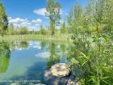 198 Cattail Road - Photo 14