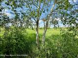 198 Cattail Road - Photo 5