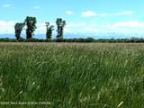  Cottonwood-Merna 23-116 - Photo 10