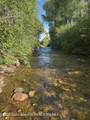  8073 BROWN TROUT BEND - Photo 9