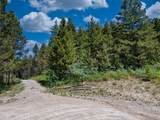 3550 Sorensen Creek Drive - Photo 6