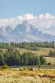 400 Red Tail Butte Road - Photo 27