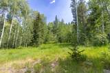 3 Blackfoot Trail - Photo 6