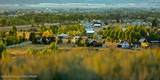LOT 20 Tbd Old Jackson Highway - Photo 21