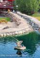 630 Grandview Drive - Photo 42