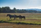 4585 Highway 22 - Photo 7
