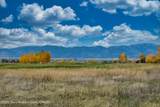10 Bison Drive - Photo 56