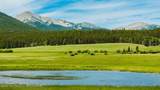 Hazelton Peak Ranch - Photo 45