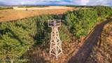  Long Hollow Road - Photo 21