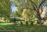 340 Millward Street - Photo 14